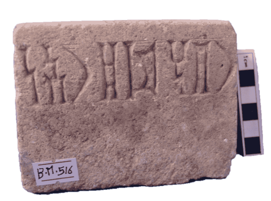 م.ب 516